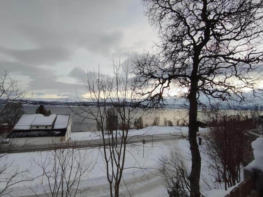 Apartment In Tromso With Sea And Mountain View エクステリア 写真