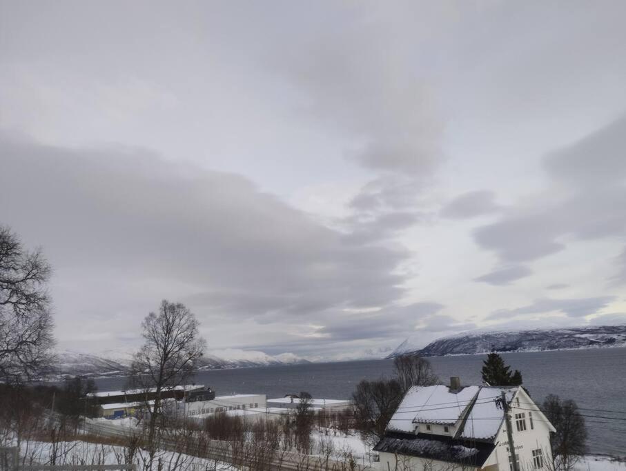 Apartment In Tromso With Sea And Mountain View エクステリア 写真
